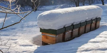 Mýty a fakta Buckfast/Kraňka
