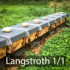 Oddělek Langstroth 1/1