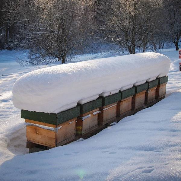 Oddělek Langstroth Jumbo vyzimovaný