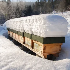 Oddělek 39x24 vyzimovaný - 2026