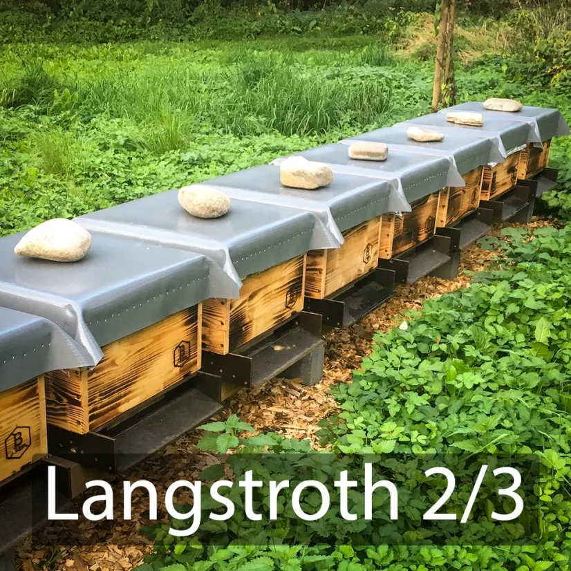 Oddělek Langstroth 2/3