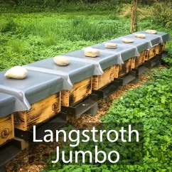 Oddělek Langstroth Jumbo