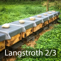 Oddělek Langstroth 2/3 - 2026