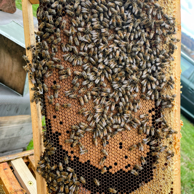 Oddělek 39x24 vyzimovaný